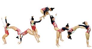 Image result for Breckland Forest Gymnastics Club 2004