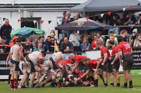 Image result for Teignmouth Rugby Football Club