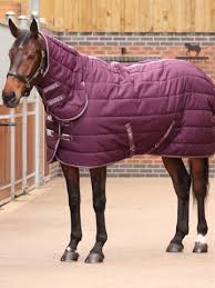 Image result for The Chobham Common Riders Association