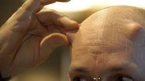 Image result for biojack tehron