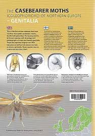 Attēlu rezultāti vaicājumam “Coleophoridae”