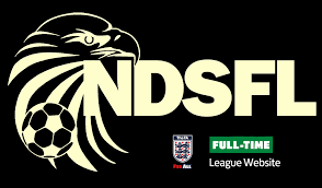 Image result for Newdigate F C