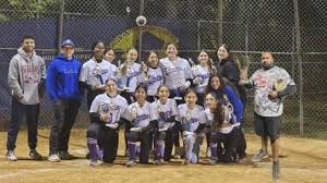 Image result for Elmbridge Girls` Little League