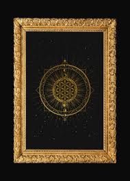 Image result for life flower