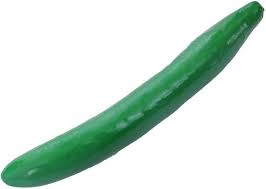 Image result for Gurke