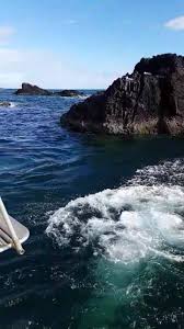 Image result for Leicester Underwater Exploration Club