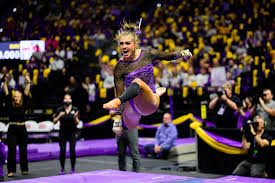 Image result for Pegasus Trampoline Club