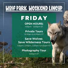 Image result for Weston Rhyn Wolves