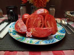 Afbeeldingsresultaat voor anna russian tomato