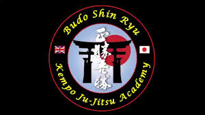 Image result for Budo Shin Ryu Kempo Jujitsu Academy