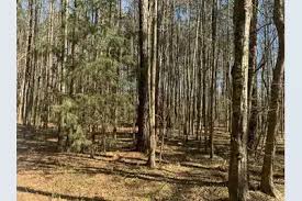 Image result for Alton Sc