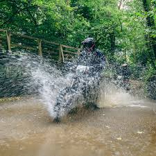 Image result for Abinger Forest Riding Club