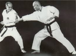 Image result for Colchester Wado Ryu Karate