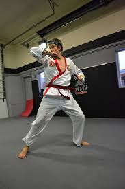 Image result for Alness Tang Soo Do