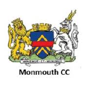 Image result for Bay Dragons CC