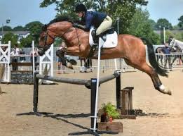 Image result for Cranleigh Badminton Club