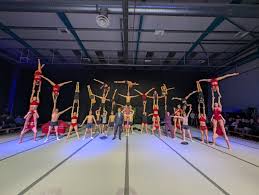 Image result for Spelthorne School Of Gymnastics