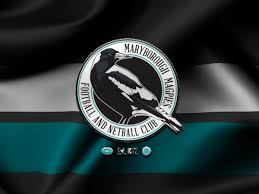 Image result for Ledbury Magpies Netball Club