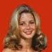 Nancy Bradford Eight is Enough - nancy_bradford-char