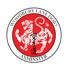 Image result for TIVERTON SHOTOKAN KARATE CLUB