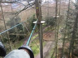 Image result for Go Ape! Whinlatter
