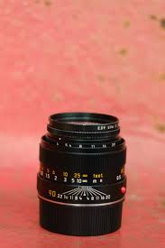 Attēlu rezultāti vaicājumam “Licea minima macro”