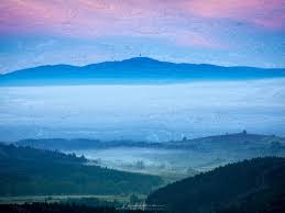 Image result for image