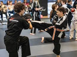 Image result for West Jordan Martial Arts Dojo
