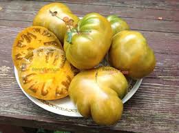 Afbeeldingsresultaat voor marmande jaune tomato