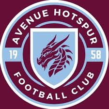 Image result for Hotspurs Football Club