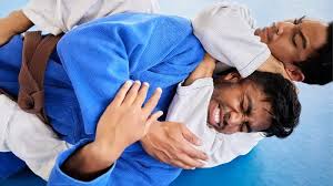 Image result for Hachidori ju-jitsu Martial Arts