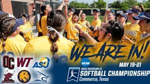 Image result for Lions Softball Club