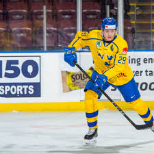 Image result for Pontypool Skater Hockey Club