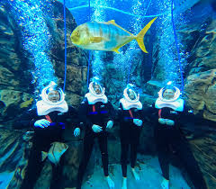 Image result for Underwater Adventures