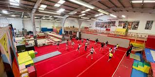 Image result for Asymmetrix Gymnastics Club