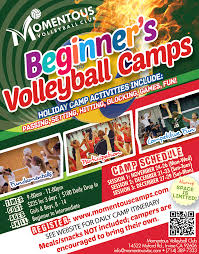 Image result for Irvine Flyers Club