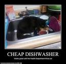 WTFContent - CHEAP DISHWASHER