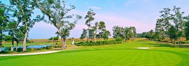 Image result for Prince`s Golf Club