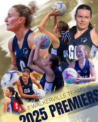 Image result for Willenhall Town Wanderers Netball Club