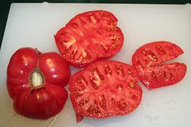 Afbeeldingsresultaat voor stump of the world tomato