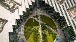 Image result for Group Senzala Cambridge