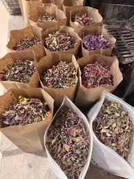 Attēlu rezultāti vaicājumam “Lathyrus sylvestris fruit”