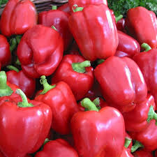 Afbeeldingsresultaat voor yolo wonder sweet pepper