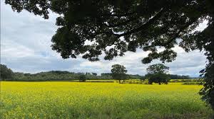 Image result for Grappenhall Sports Club