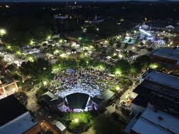 Image result for Dover Lifeguard Sc