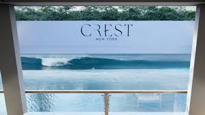 Image result for York University Surf Club