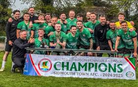 Image result for Sidmouth Town Association Football Club