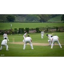 Image result for Ballinger Waggoners Cricket Club