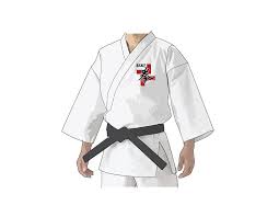 Image result for Fighting Arts Organisation of Great Britain