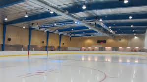 Image result for Streatham Ice Figure Skating Club, Kent